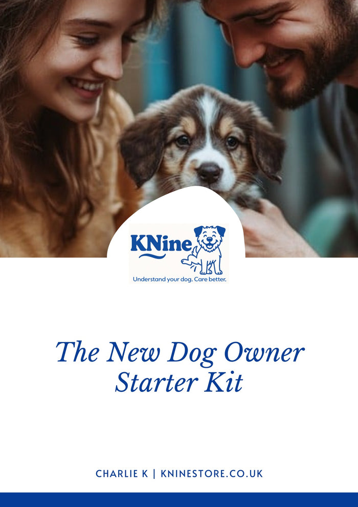 The New Dog Owner's Starter Kit checklist